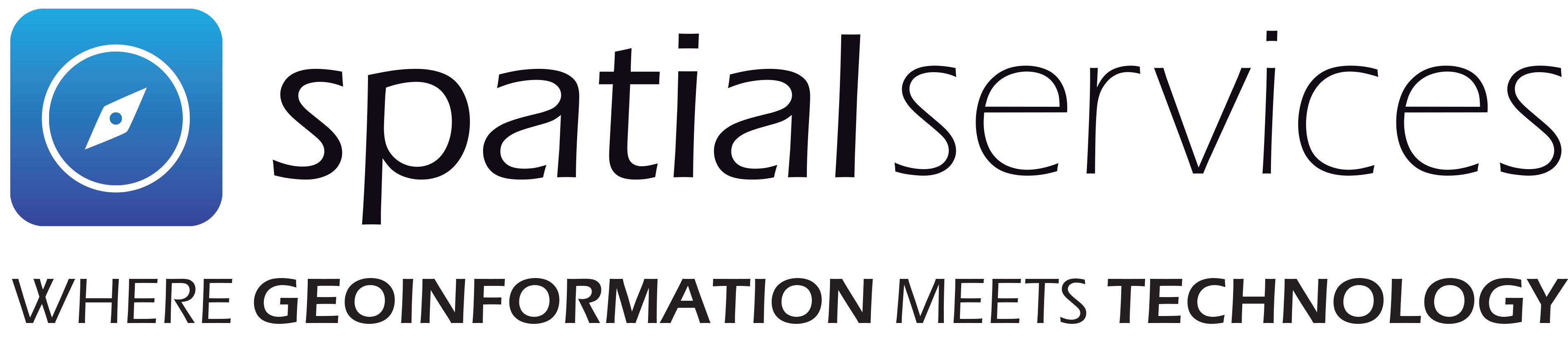 Spatial Services GmbH Logo